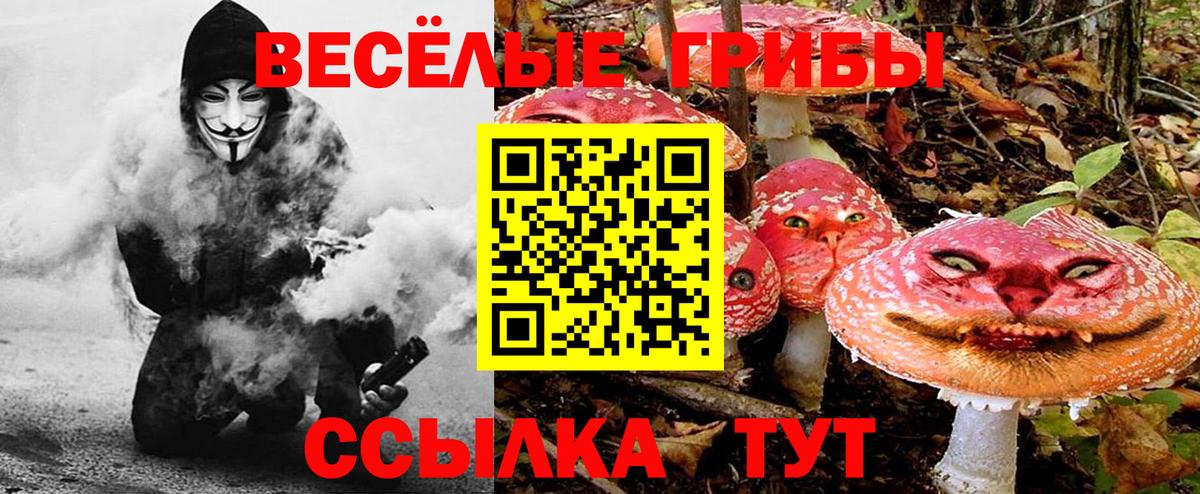 Галлюциногенные грибы MAGIC MUSHROOMS Черкесск